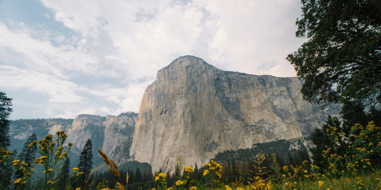 Autocamp Yosemite 호텔 미드파인즈 외부 사진